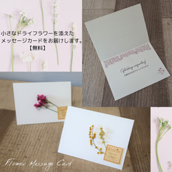 桜色リモニュームとカスミ草のリース（ドライフラワー） 7枚目の画像
