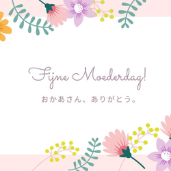 桜色リモニュームとカスミ草のリース（ドライフラワー） 8枚目の画像
