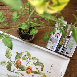 家庭菜園　ボタニカルペイント　トマト 2枚目の画像