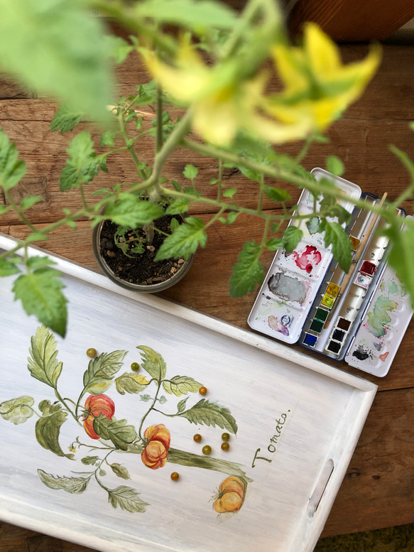家庭菜園　ボタニカルペイント　トマト 2枚目の画像