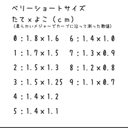 サイズ確認用 ネイルチップ10枚 3枚目の画像