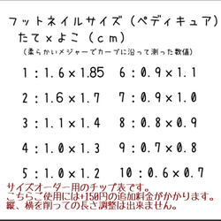 RUNA♪フットネイル♡スモーキーカラーシェルブローチネイルチップ♪ 5枚目の画像