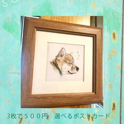 うちのこ肖像画売上の一部を地元の犬猫保護団体に寄付させて頂きます。