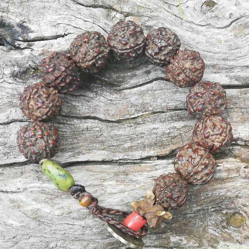 コッコブライド ルドラクシャシナールブレスレット コッコブライド