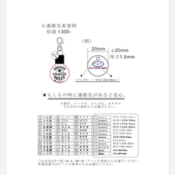 ☆(大) ペットお散歩LED・USB充電式☆名前入れキーホルダー 10枚目の画像