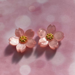 桜のピアス/イヤリング　シェル風ピンク色　大中小選べるサイズ 7枚目の画像