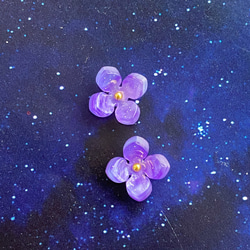 みずみずしい紫陽花のピアス/イヤリング　星空グラデーション 1枚目の画像