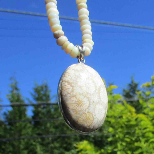 鑑賞石５点 Sv925】*鑑賞石の最高峰 StoneArt,,,* 菊花石BIGペンダント