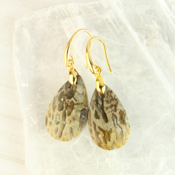 パームルート フォッシル 一粒14kgf ピアス 世界に1つ】*パームルート