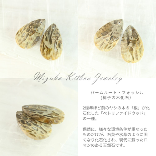 価格は安く 世界に1つ】*パームルート・フォッシル(椰子の木化石）*耳飾り ピアス