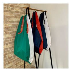 Colorful Nylon Eco Bag / Green x White 1枚目の画像