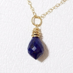 [14kgf] Wire wrapped necklace top : Lapis lazuli 1枚目の画像