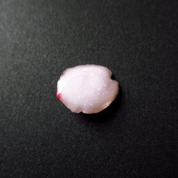 【選べるカラー】桜の花びらマグネット 2枚目の画像