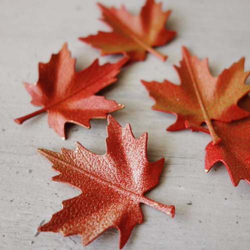 ヴィンテージ 1950s 真鍮製 紅葉(もみじ)の葉っぱ 40mm その他