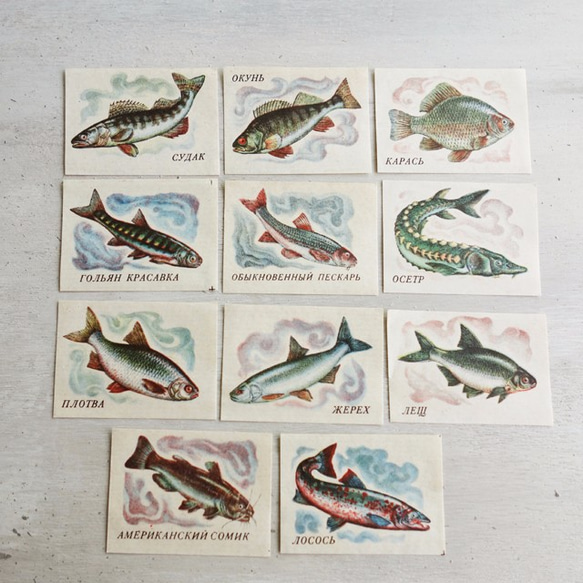 旧ソビエト製(USSR) ヴィンテージ 1970s マッチラベル 『魚』11枚 1枚目の画像