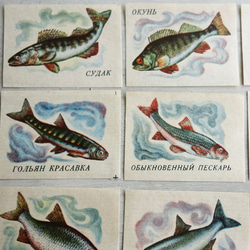 旧ソビエト製(USSR) ヴィンテージ 1970s マッチラベル 『魚』11枚 2枚目の画像