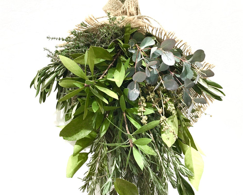 0_aa208a48a3b0665c9d141d40336c