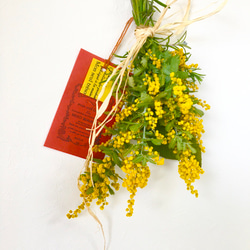 香り立つ無農薬　ミモザハーブスワッグ　アカシア　ローズマリー　ロクアット 3枚目の画像