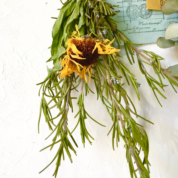香り立つ無農薬　ローズマリーの木ガーランド　アネモネ　ユーカリ　ミモザ　ロクアット 5枚目の画像