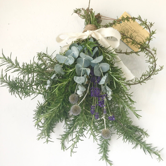 ローズマリーフレンチラベンダー白コーラプラント　苗セットリュウキュウヨモギ ローズマリーフレンチラベンダー白コーラプラント 苗セットリュウ