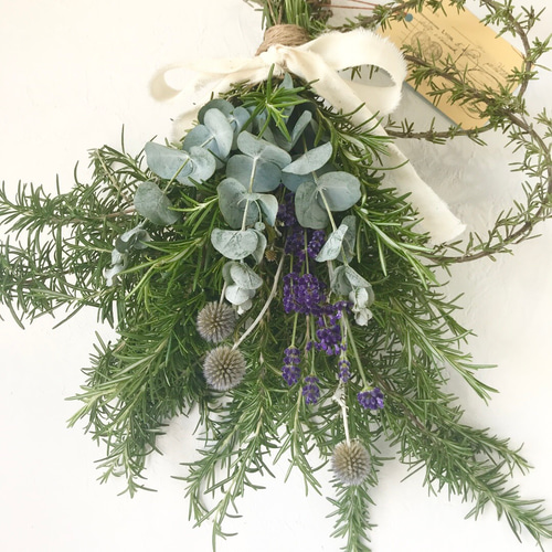 香り立つ無農薬 大型ボリューム フレッシュローズマリー ハーブ