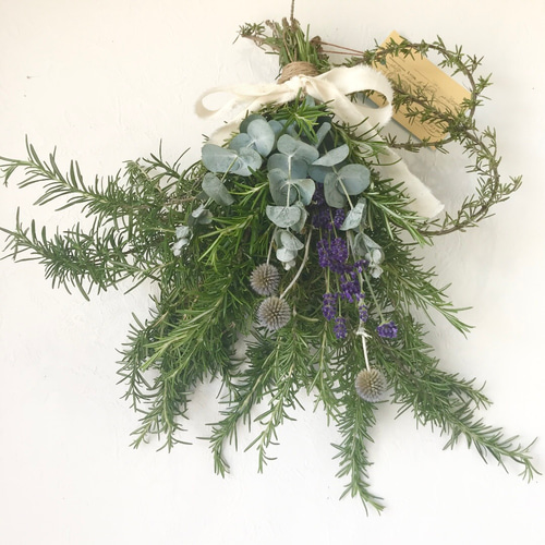 香り立つ無農薬 大型ボリューム フレッシュローズマリー ハーブ