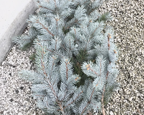 1_ee969f24076dbcfe23476b27e99e