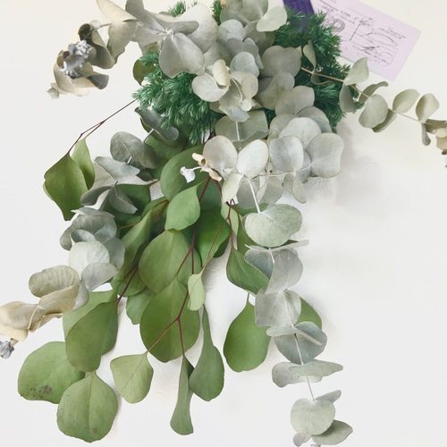 hana ❀ tsumugi … ♡さまユーカリ銀世界+ポポラス 香り立つ無農薬 ユーカリ銀世界ポポラス•ブルーボールスワッグ ドライ