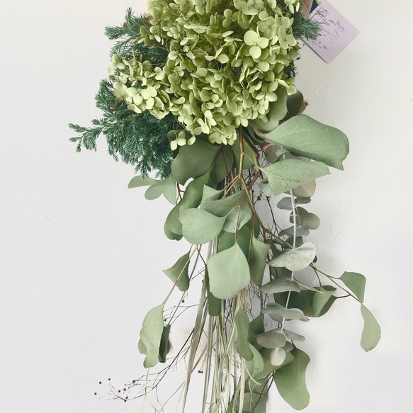 右側のスワッグ/50cm/オレゴンモミとレモンユーカリswag/銀世界/スワッグ 2025年最新】オレゴンモミの人気アイテム - メルカリ