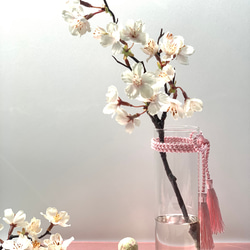 再販】満開の桜をずっと楽しめる！水替え不要「満開の桜の一枝」ガラス