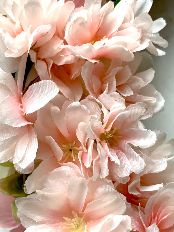 可憐な八重桜の大きめリース（34㎝）－ドアリースにもぴったり　ふんわり春を玄関から！ 5枚目の画像