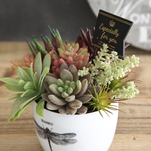 多肉植物 寄せ植え (男前フェイク多肉)