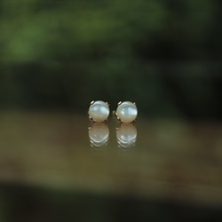 【一点物】スタッズピアス  5mm     ~夜光貝~ 1枚目の画像