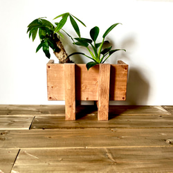 プランタースタンド　マガジンラック としても使える 木製　ボックス型　観葉植物 プランターラック　 ミニ茶 3枚目の画像