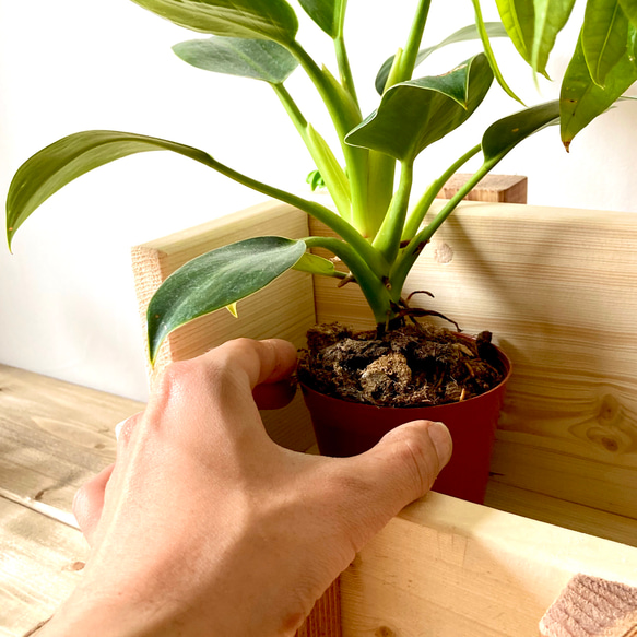 プランタースタンド　マガジンラック としても使える 木製　ボックス型　観葉植物 プランターラック　 ミニ茶 7枚目の画像