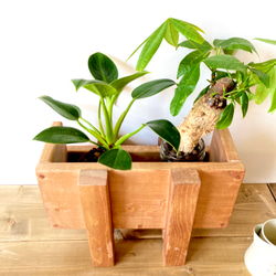 プランタースタンド　マガジンラック としても使える 木製　ボックス型　観葉植物 プランターラック　 ミニ茶 9枚目の画像