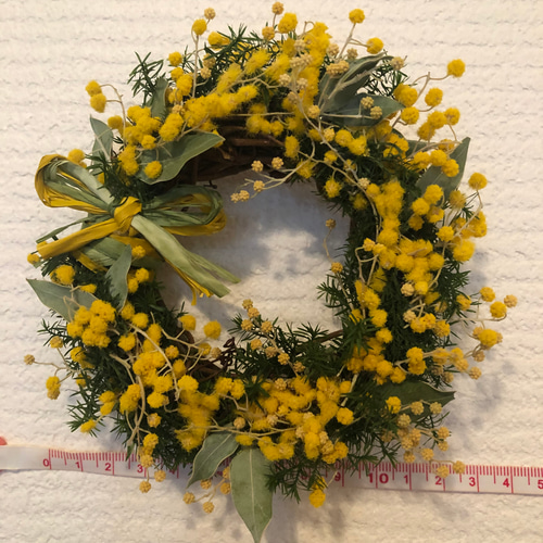 再販】毎年楽しめる 花 ミモザ ハーフリース ミモザ リース