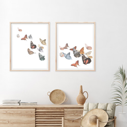 ［２枚セット］バタフライ アートポスター (28_butterfly) 2枚目の画像