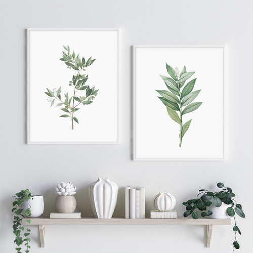 BOTANICAL ボタニカル GREEN 植物 おしゃれポスター｜海外