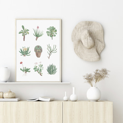 多肉植物 アートポスター (23_succulent) 2枚目の画像