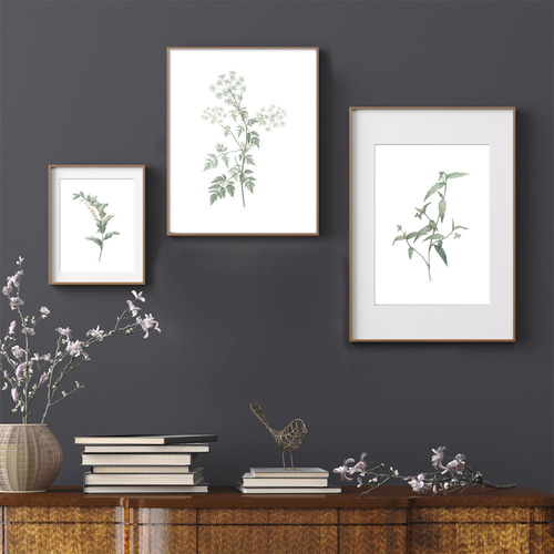 おしゃれポスターボタニカル✨ 370aae609b998bdc1a15eeea86fa42