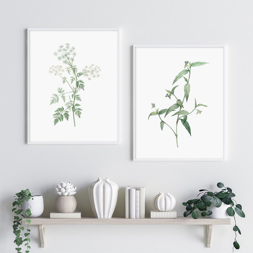 お得な3枚セット］ボタニカル アートポスター