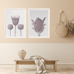 ボタニカルフォトポスター３枚セット（40_3b_botanicalphoto_set01） 4枚目の画像
