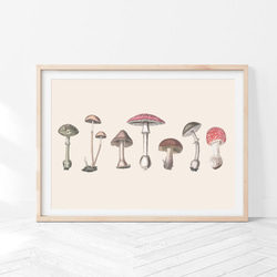 キノコ アートポスター (42_mushroom)｜北欧 インテリア イラスト 絵画