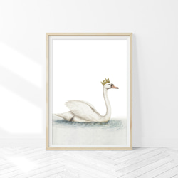 スワン アートポスター (43_swan)｜北欧 白鳥 インテリア イラスト