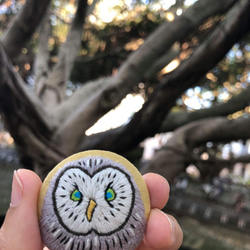 貓頭鷹手刺繍胸針(owl hand embroidery brooch) 第1張的照片