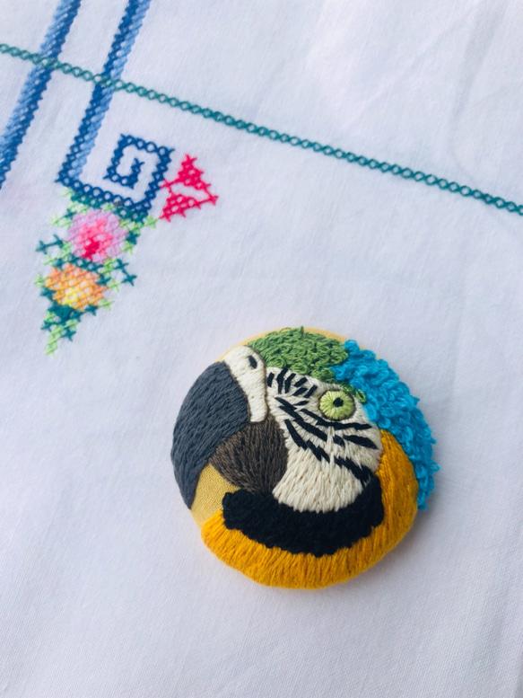 parrot hand embroidery brooch 第1張的照片