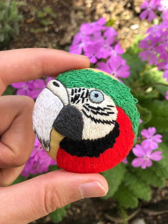 parrot hand embroidery brooch 第2張的照片