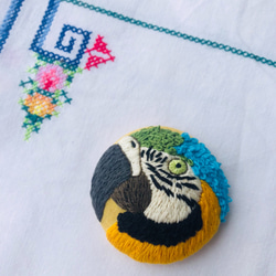 parrot hand embroidery brooch 第4張的照片