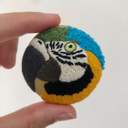 parrot hand embroidery brooch 第2張的照片